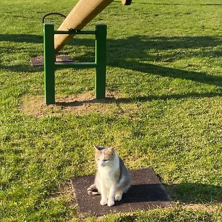 Campo de lujo Holz Faessla *