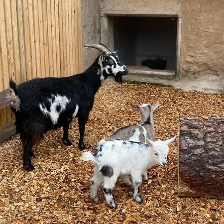 Holz Faessla * Wolframs-Eschenbach